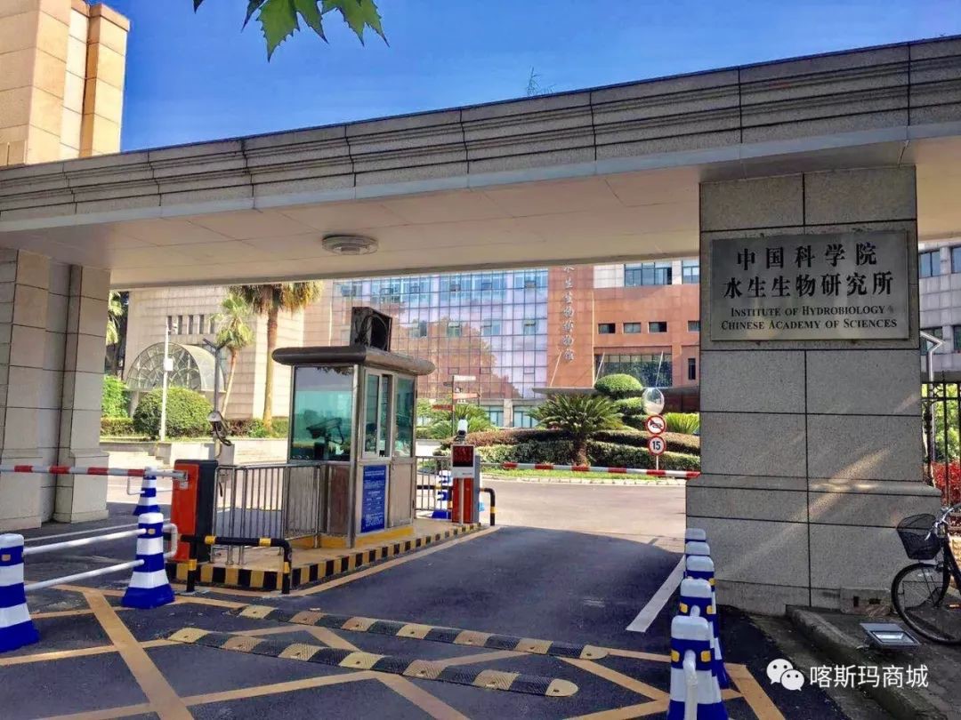 20180607 喀斯瑪.jpg 20180607 喀斯瑪.jpg