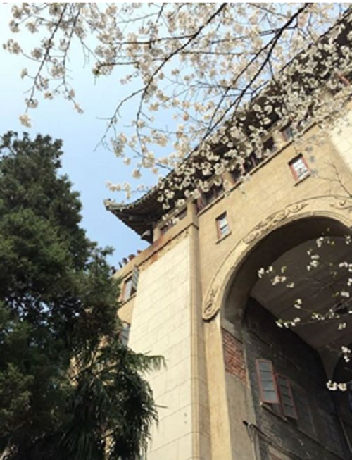 2020年3月13日,武漢站 居家云辦公,服務(wù)不打烊.png 2020年3月13日,武漢站 居家云辦公,服務(wù)不打烊.png